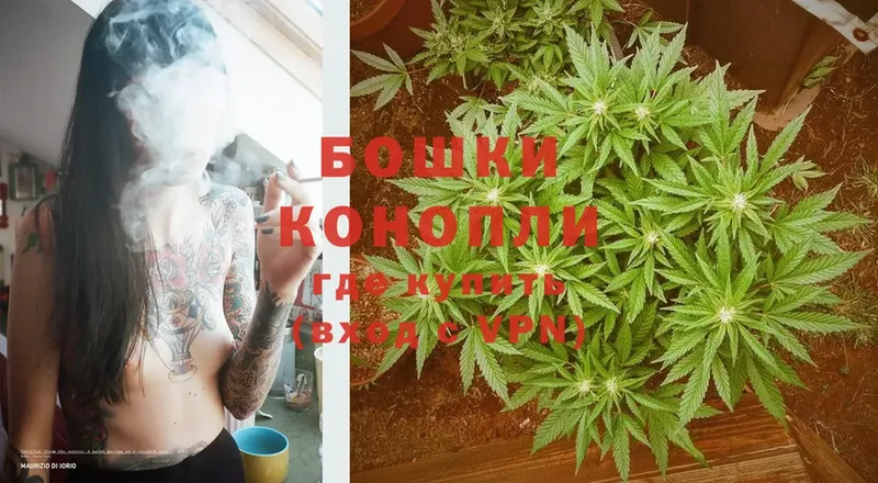 закладка  Кадников  Марихуана White Widow 